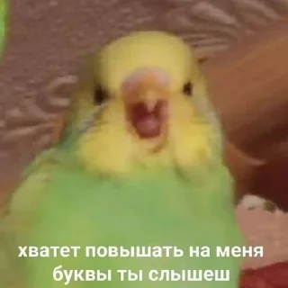 😠