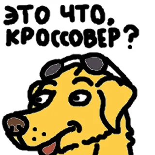 🐶