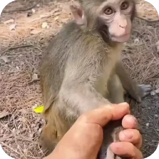 🤩
