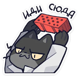 ⭐