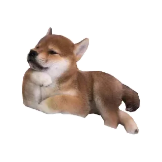 🐶