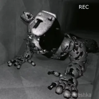 😱
