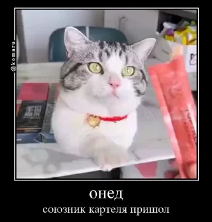 🤩