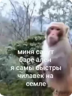 ⚡