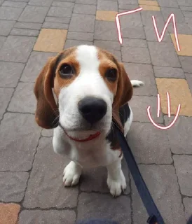 🙂