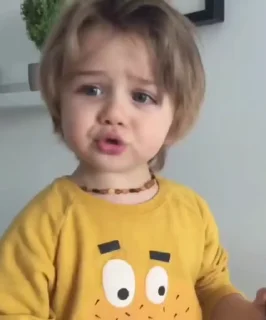 🐥