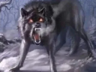 🐺