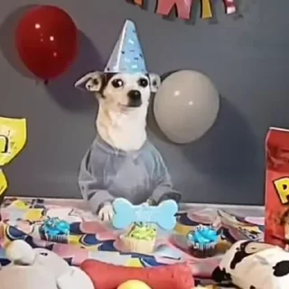 🎉