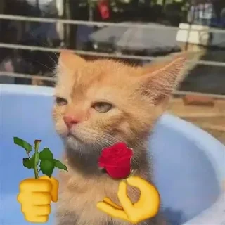 😒