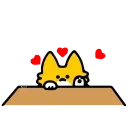 😾