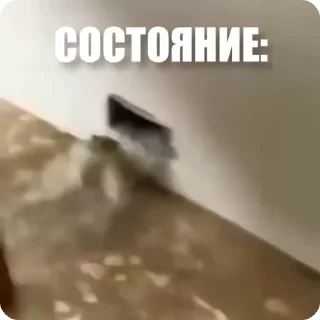 😭