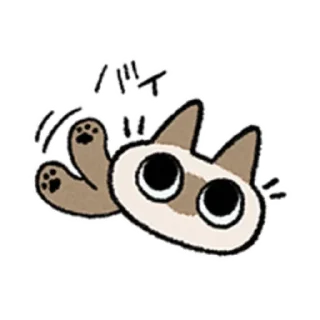 😺