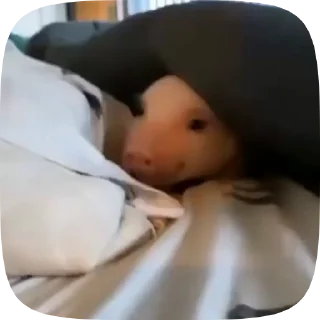 👀