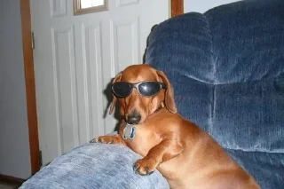 😎