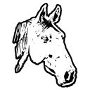 🐎