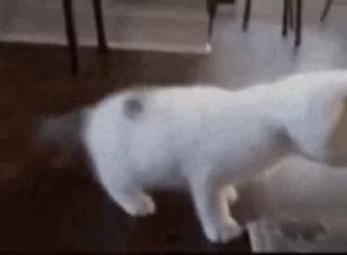 🥳