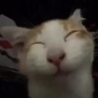 ☺️