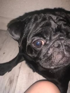🤩