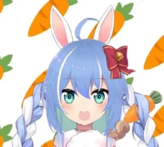 🐰