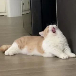 😝