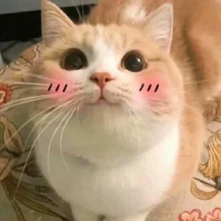☺️