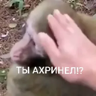 🤩