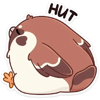 🙅