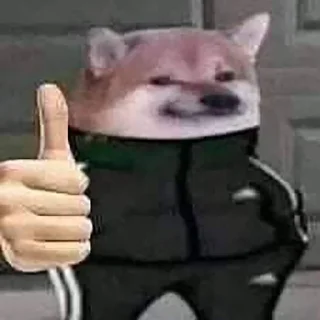 🐶