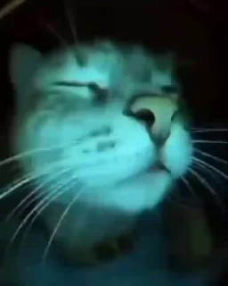 🕺