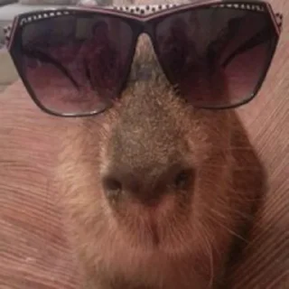😎