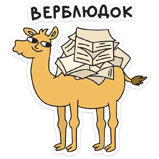 🐪