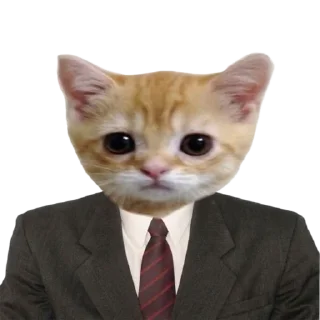 👨‍⚖️