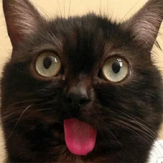 😝