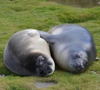 👩‍❤️‍👨