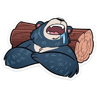 🐻