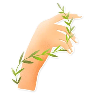 ✋