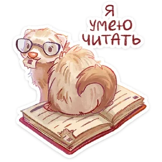 ⭐