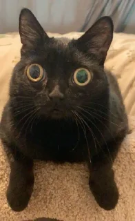 😐