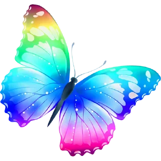 🦋