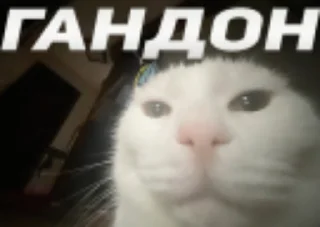 🫵