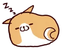 🐶