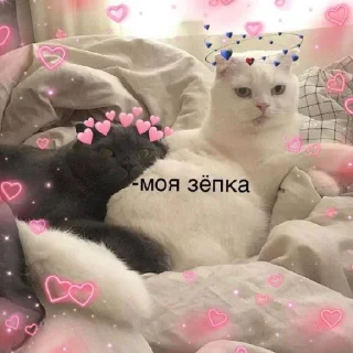❤️