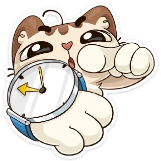 ⌚️