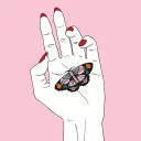 🦋