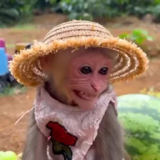 👅