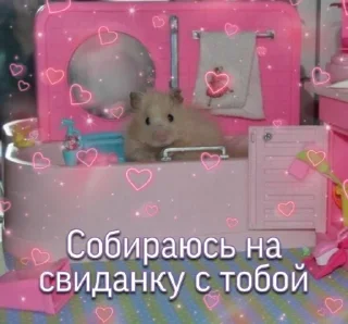 💗