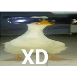 😎