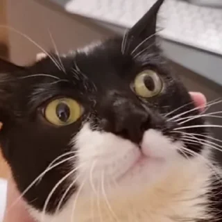 😮