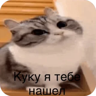 🫥