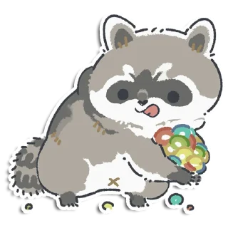 🦝